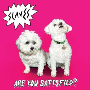 Are You Satisfied by Slaves