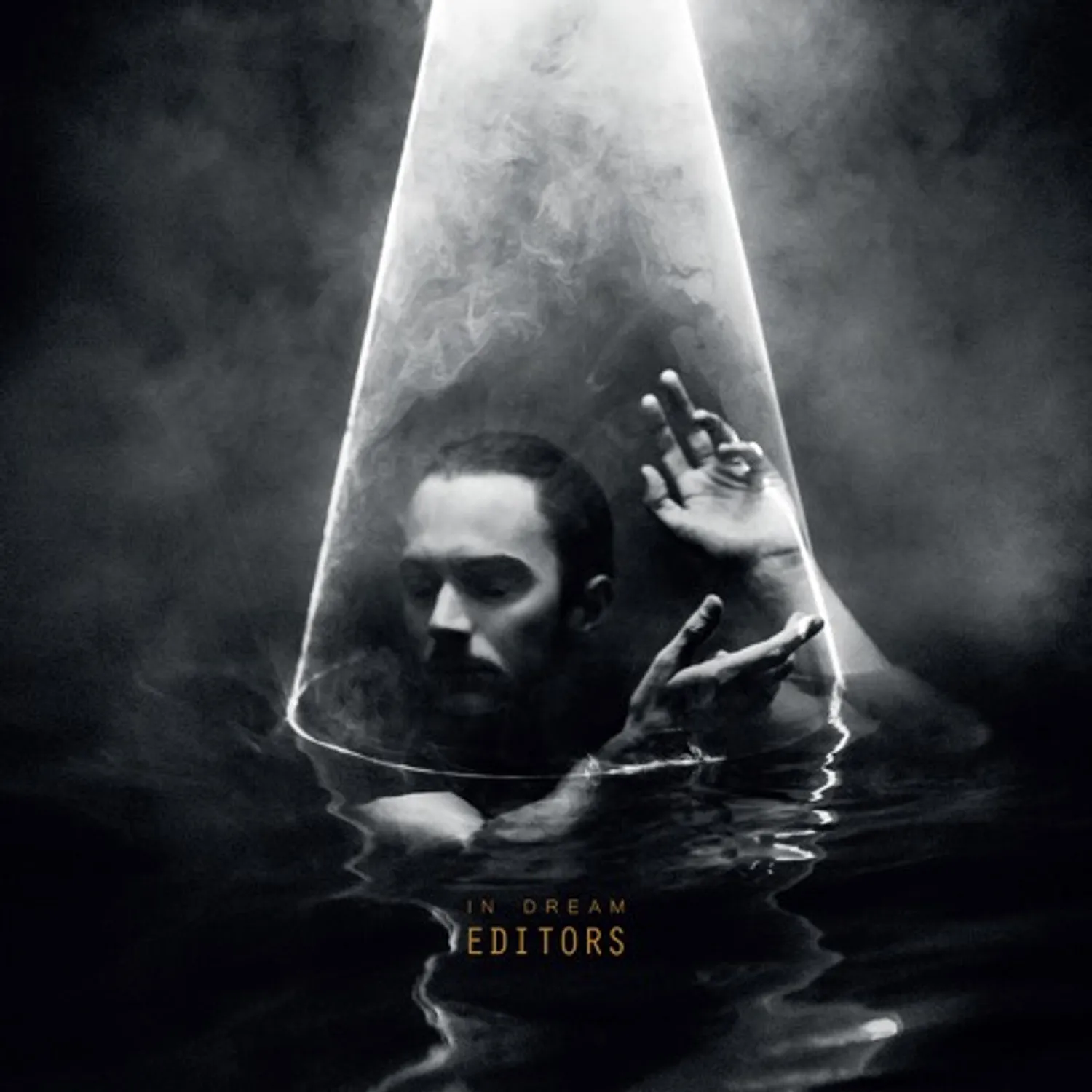 In Dream (Clear Vinyl) by Editors