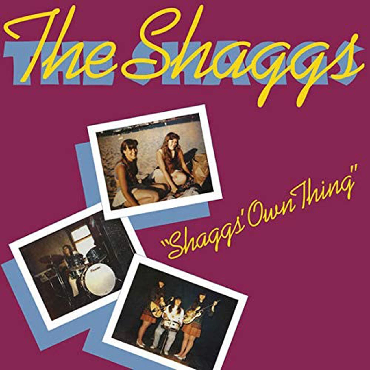 Shaggs Own Thing by The Shaggs