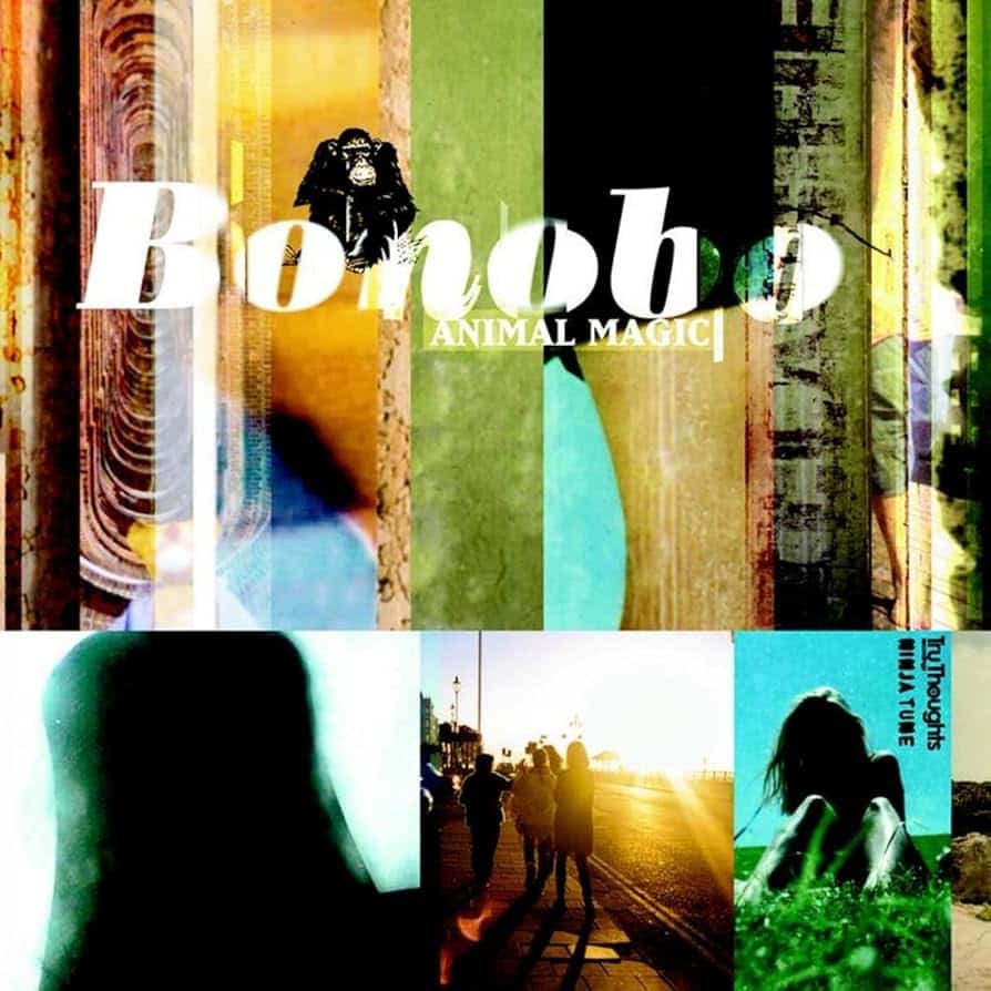 Animal Magic by Bonobo