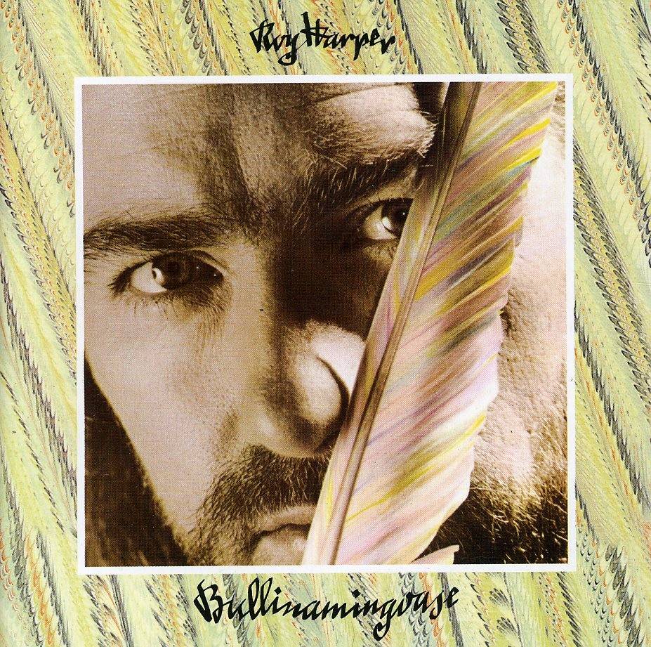 Bullinamingvase by Roy Harper
