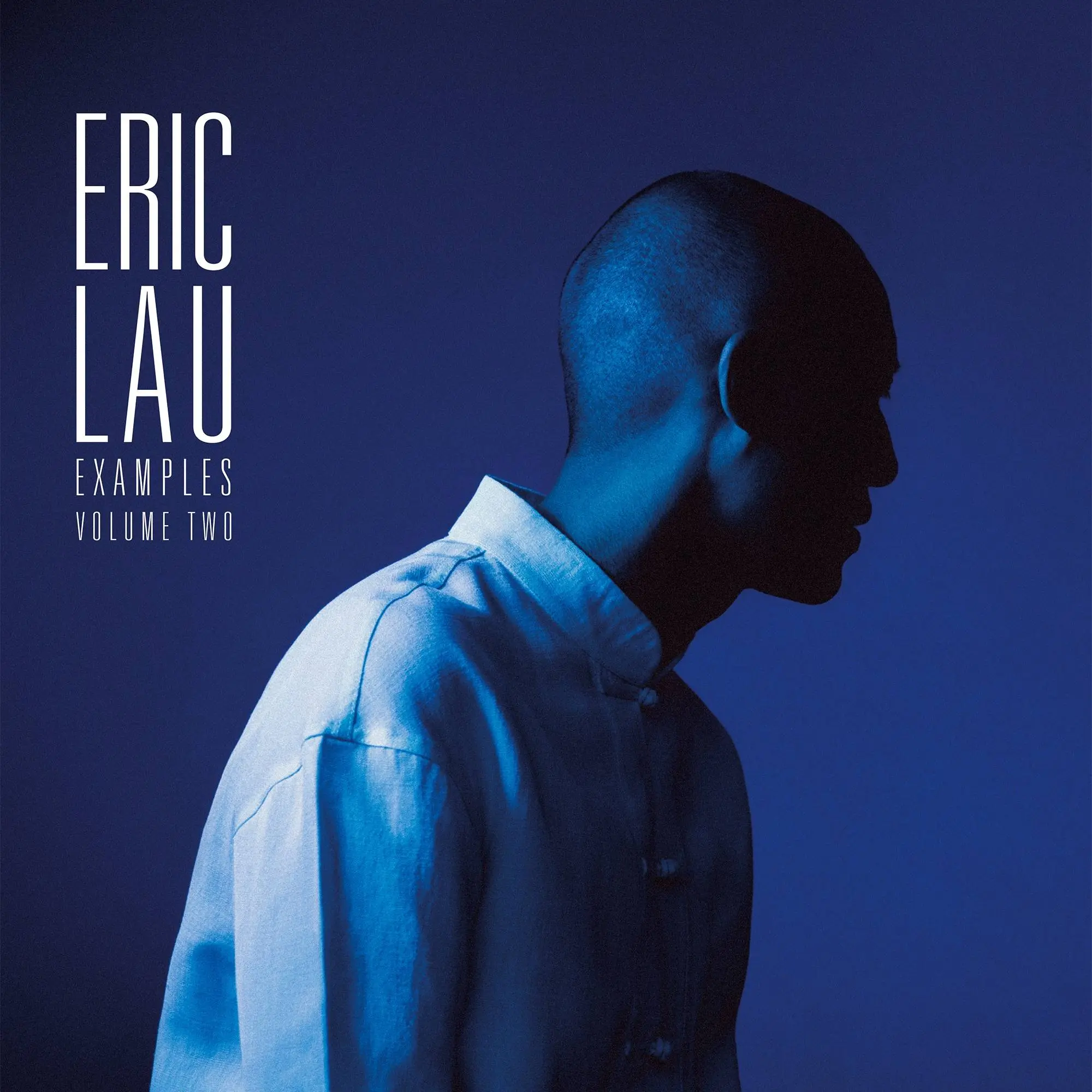 Examples, Vol. 2 by Eric Lau