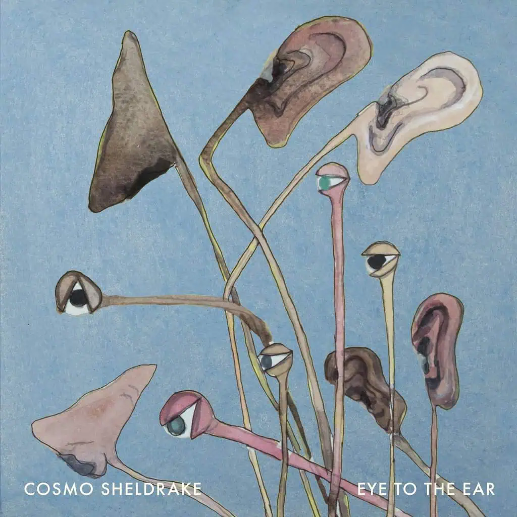 Eye To The Ear by Cosmo Sheldrake