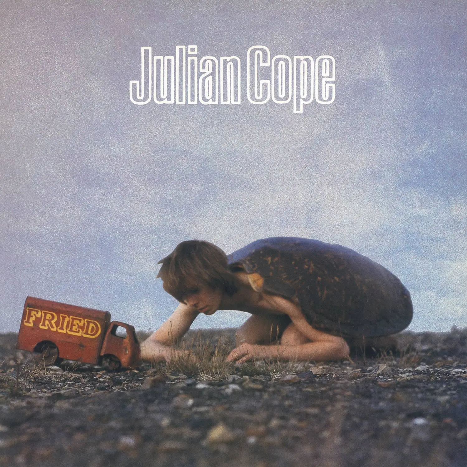 Fried by Julian Cope