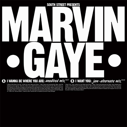 I Wanna Be Where You Are / I Want You by Marvin Gaye