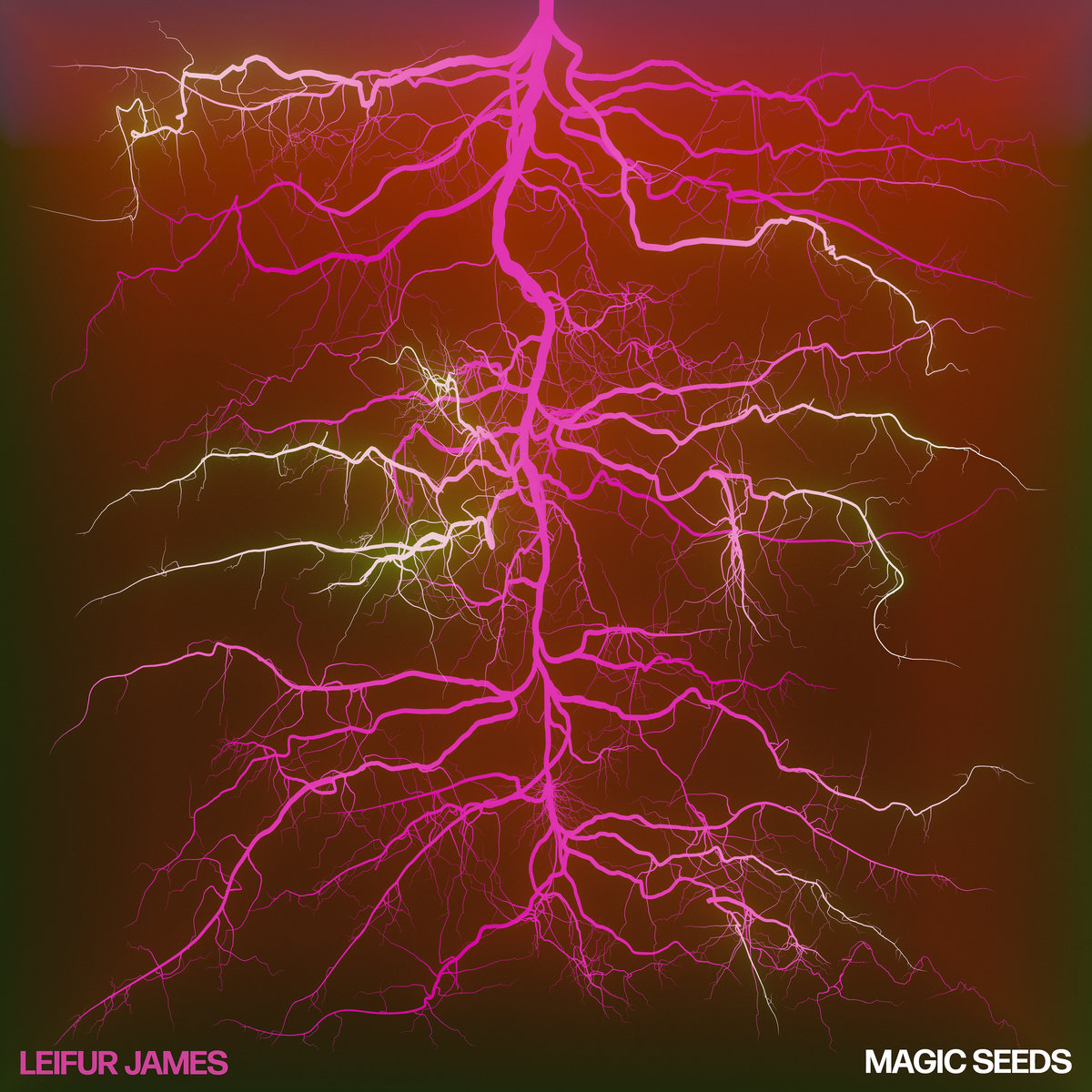 Magic Seeds by Leifur James