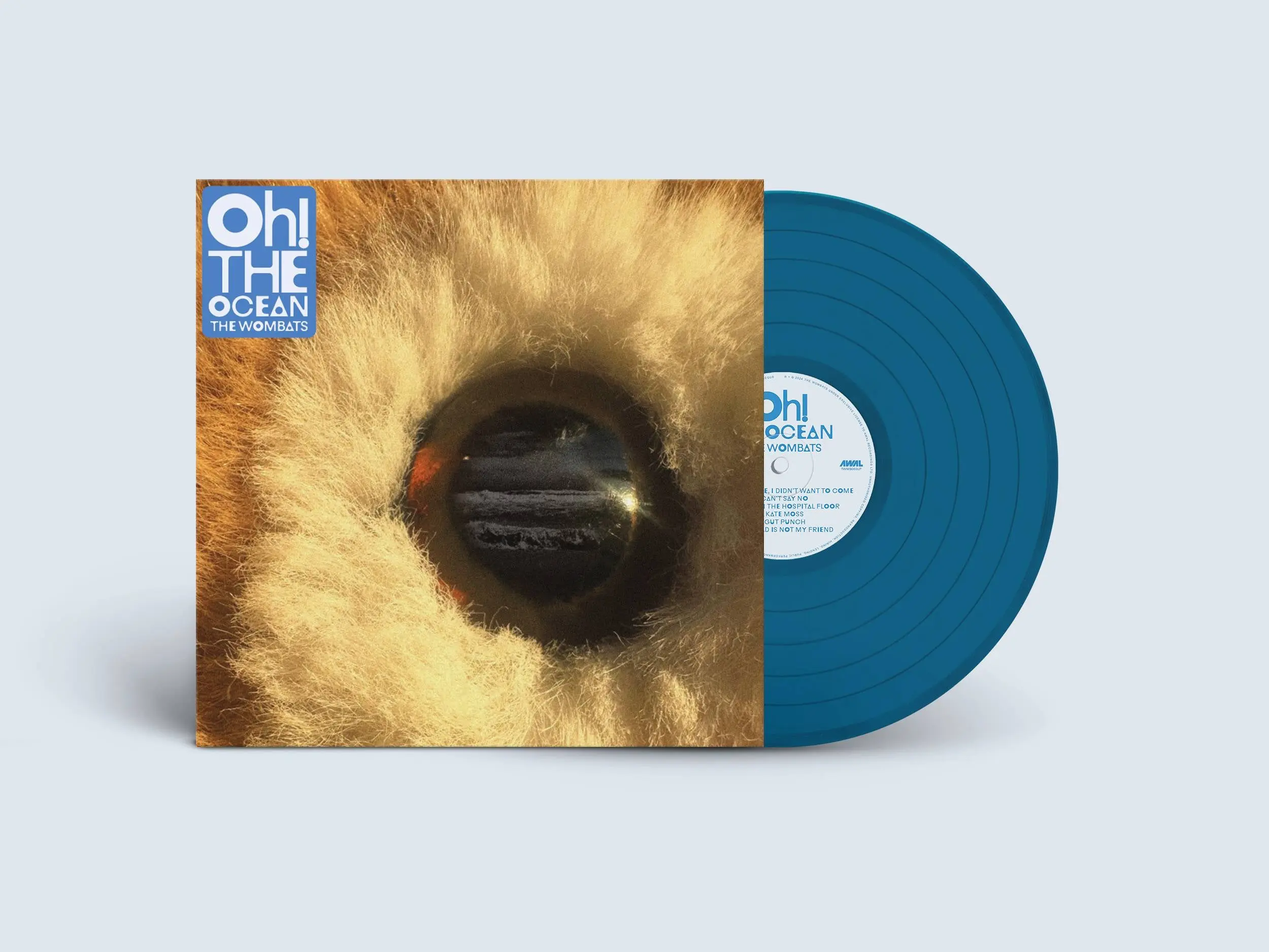Oh! The Ocean [Transparent Blue Vinyl] by The Wombats
