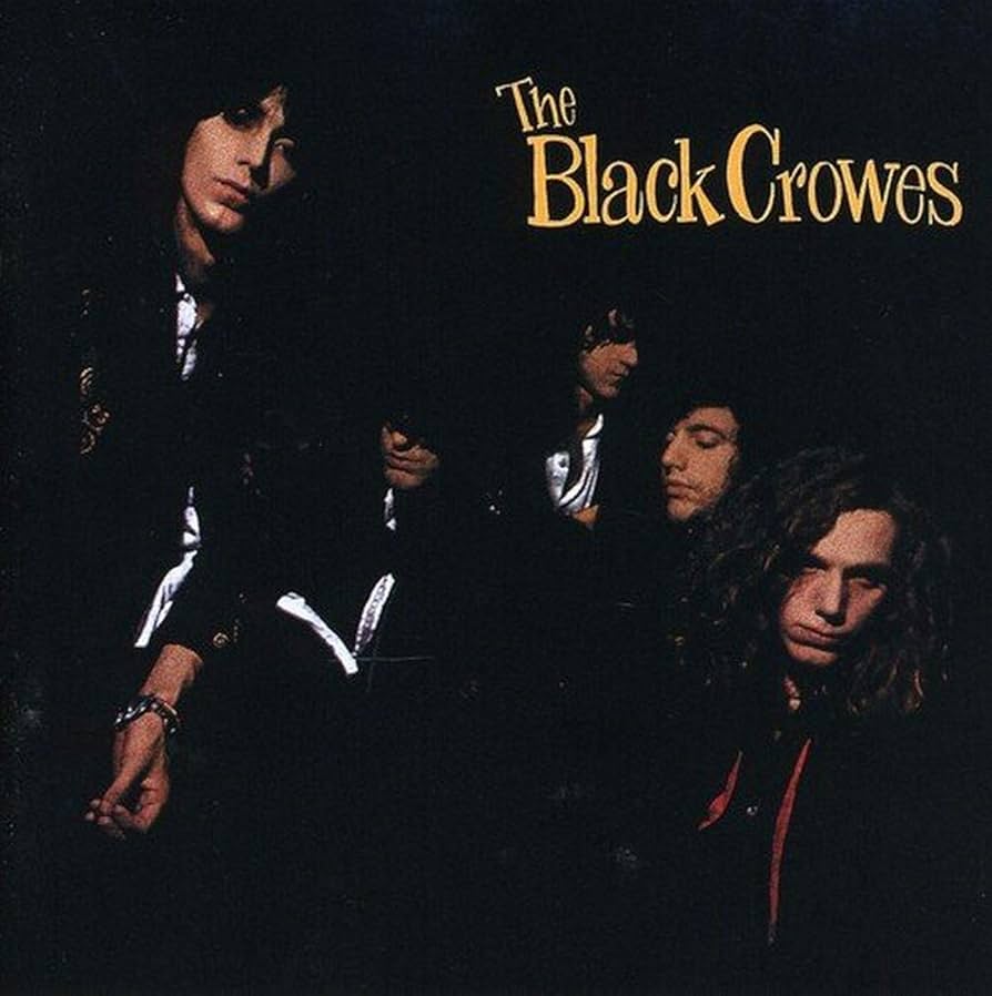 Shake Your Money Maker by The Black Crowes