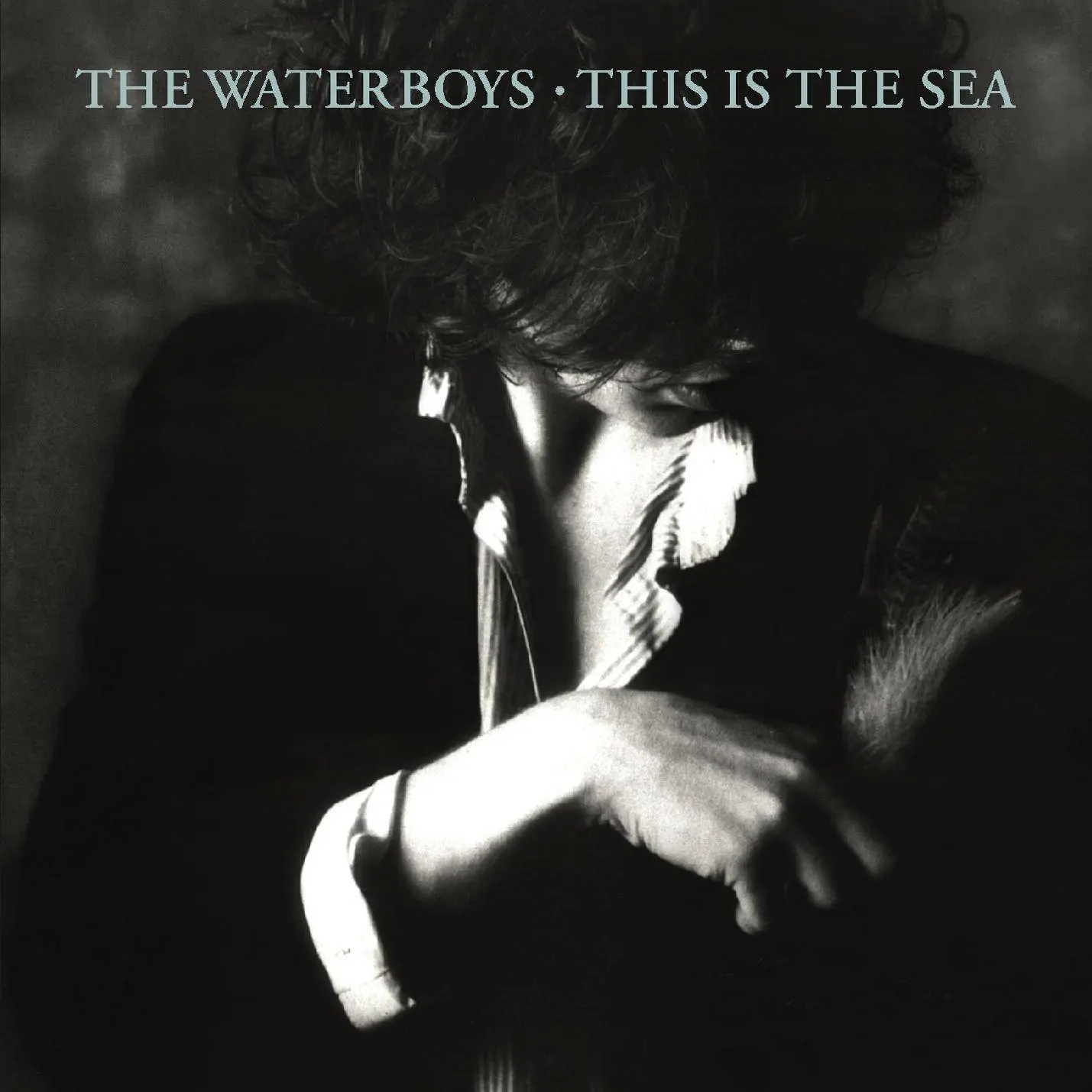 This is the Sea [Clear Vinyl] by The Waterboys